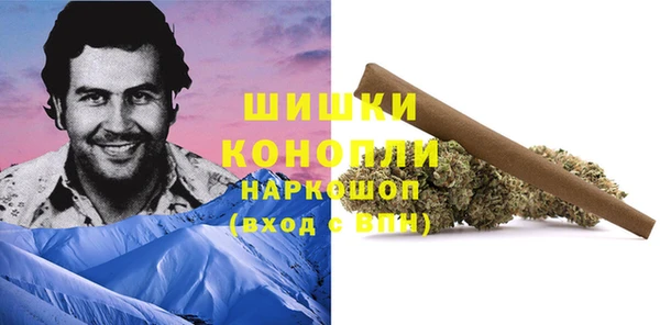 ECSTASY Майский