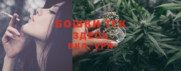 ECSTASY Майский