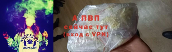 ECSTASY Майский