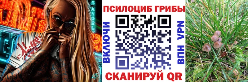 Галлюциногенные грибы GOLDEN TEACHER  купить наркотик  Азов 